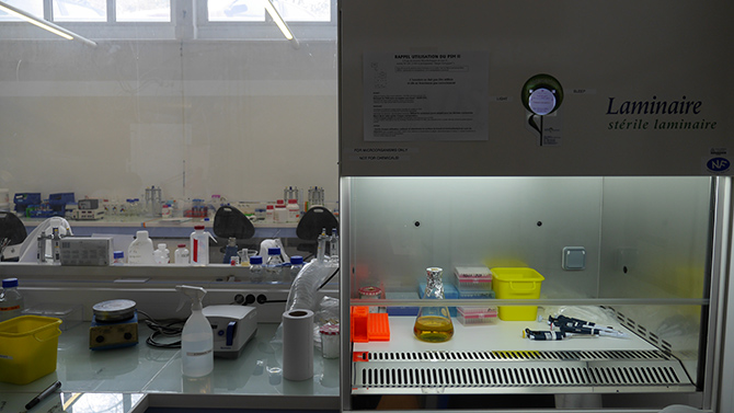 Laboratoire de l’équipe de Damien Baigl