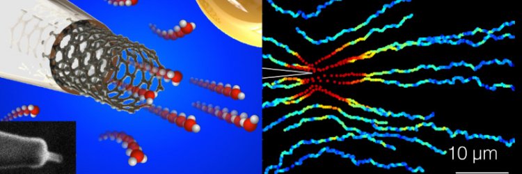 Massive radius-dependent flow slippage in carbon nanotubes