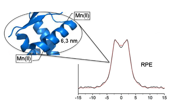 Publication manganese