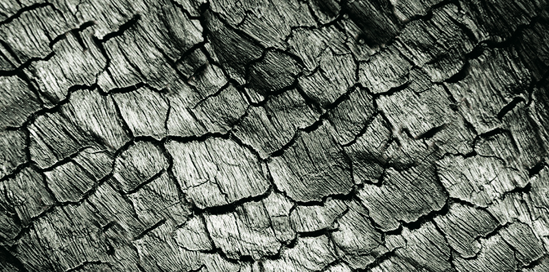 dérèglement climatique