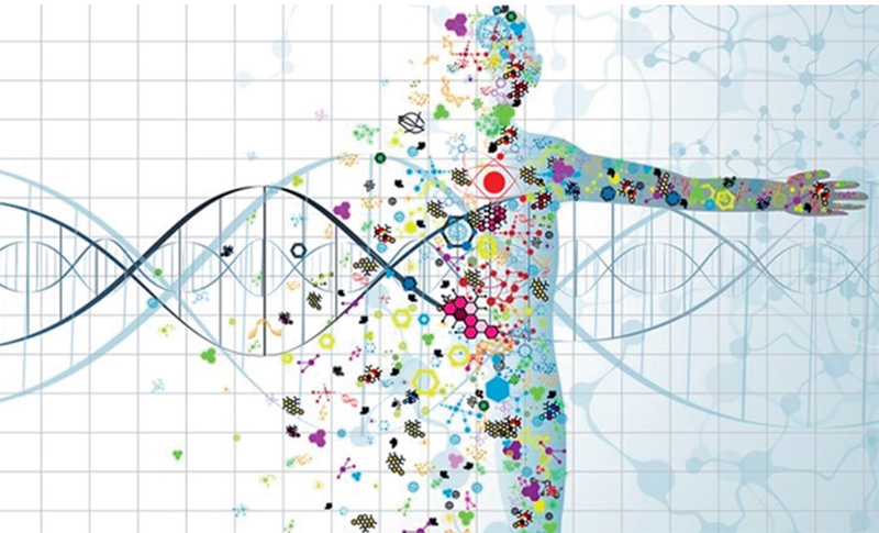 De la biologie à la médecine personnalisée. Mieux soigner demain ?