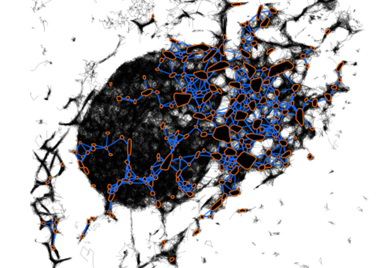 Reconstruction du reseau de l endoplamic reticulum