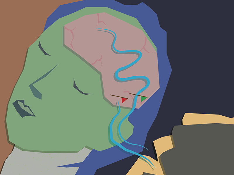 The dreaming brain tunes out the outside world