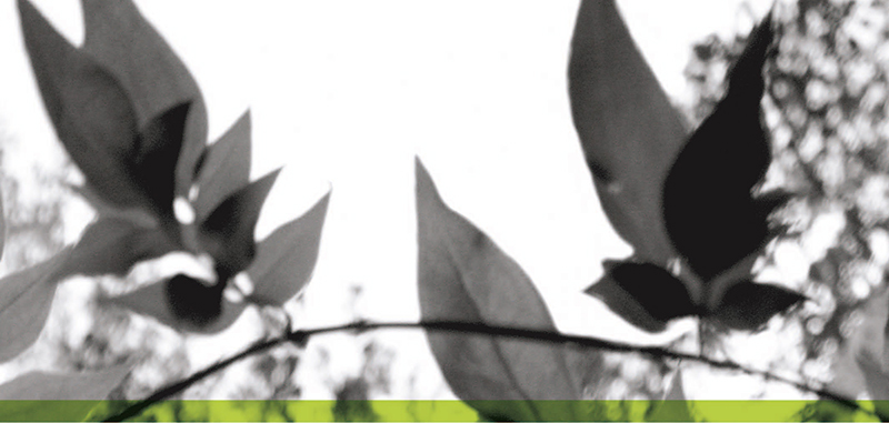 Comment lutter contre la fraude fiscale ?