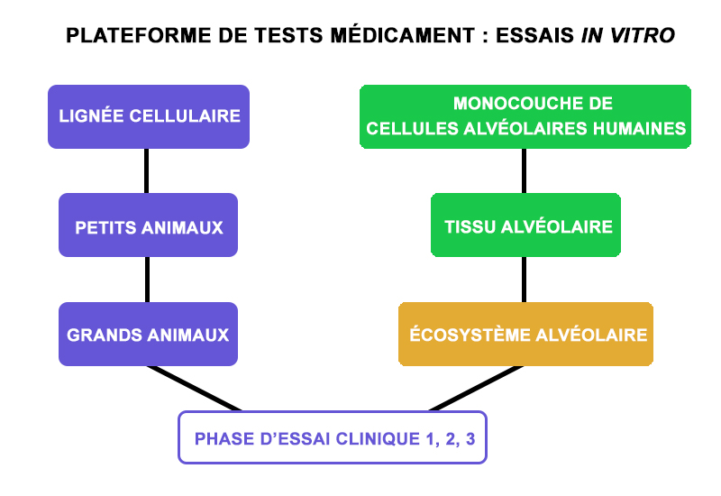 schéma © Yong Chen