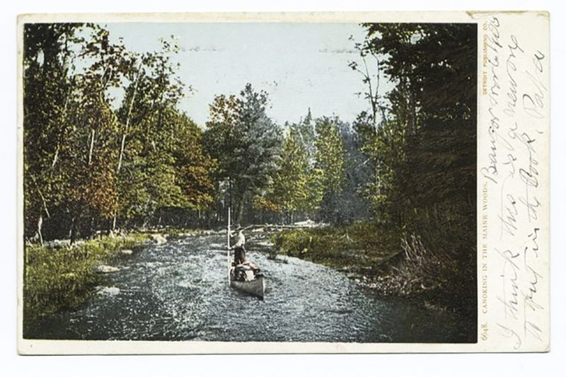 Les Forêts du Maine