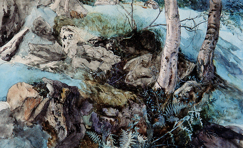  Rocks and Ferns in a Wood at Crossmount, Perthshire John Ruskin 1847 Lakeland Arts - Abbot Hall Art Gallery and Museum Kendal, Royaume-Uni