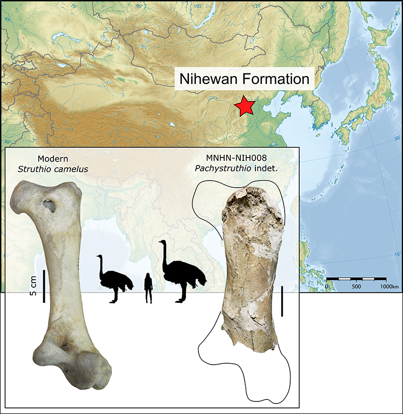 Montage © Delphine Angst