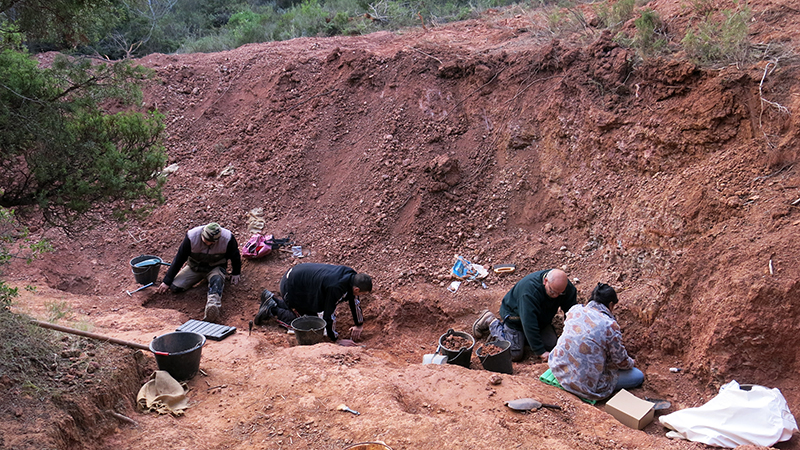 Un chantier de fouilles organisé par Eric Buffetaut à Montouliers, dans l'Hérault, en octobre 2020. Photo © Eric Buffetaut