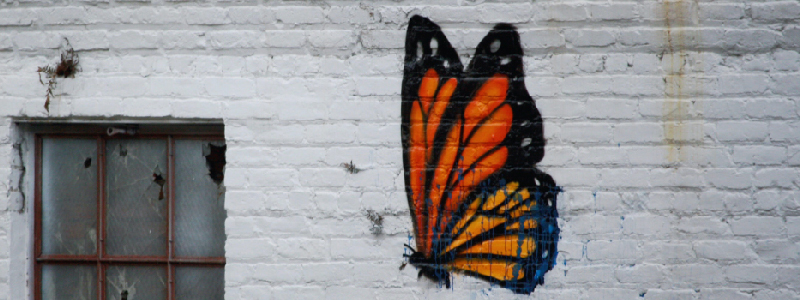 Chaire anthropologie européenne