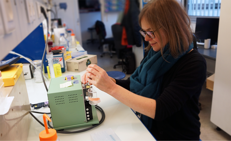 Cécile Charrier, à l’Institut de Biologie de de l’ENS-PSL