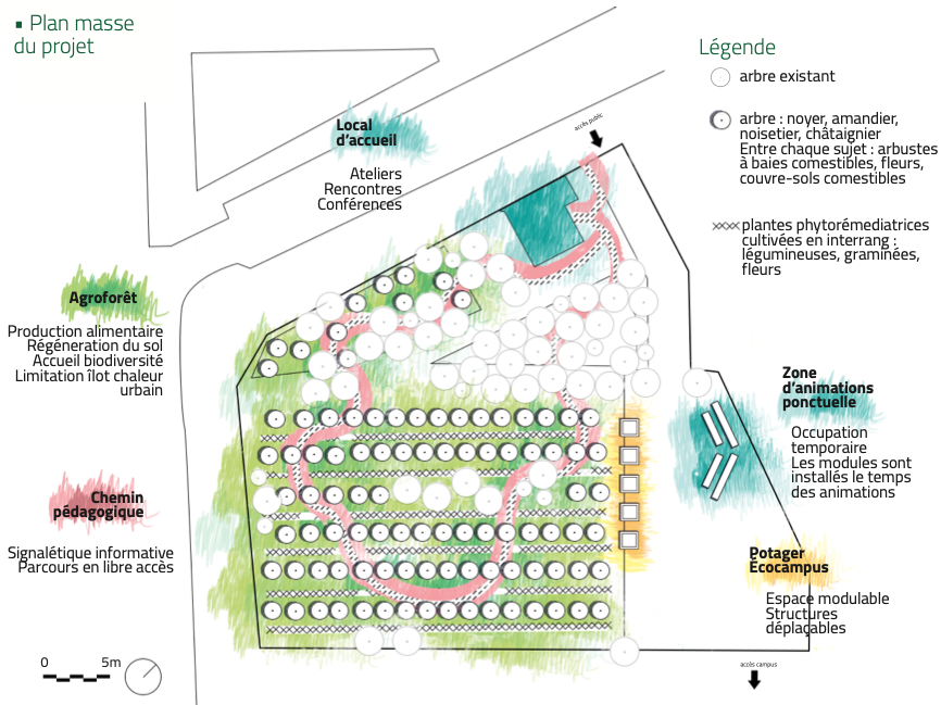 Le Projet Sylvia - Plan