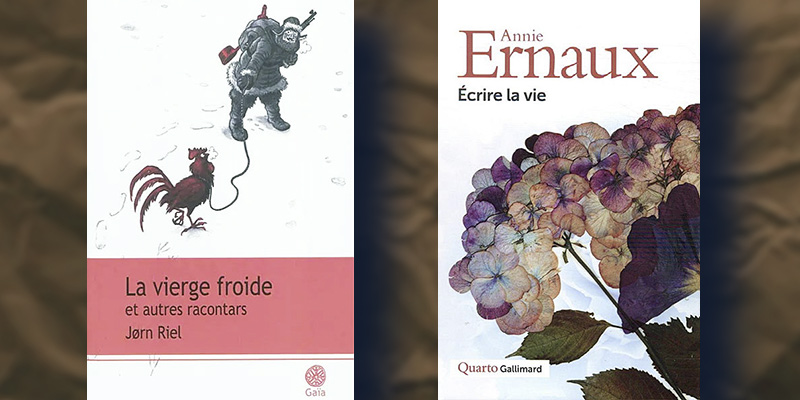 Couv La Vierge noire Ecrire la vie