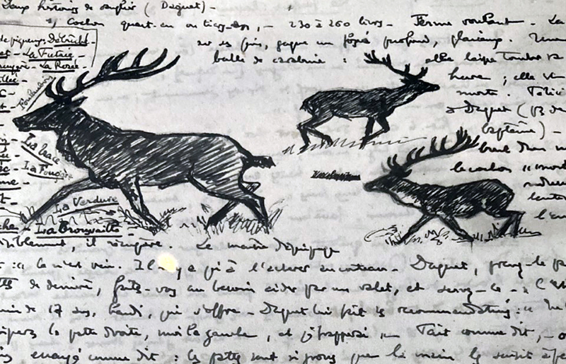 Les manuscrits de Maurice Genevoix, chantre de la nature sauvage, entré au Panthéon en 2020, ont été acquis par la Bibliothèque nationale de France (BnF) en 2022, avec le soutien de la Fondation François Sommer. 