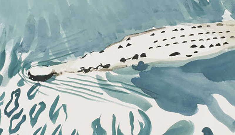 Illustration couverture  Une bête entre les lignes Essai de zoopoétique de Anne Simon - (2021, Ed Wildproject)