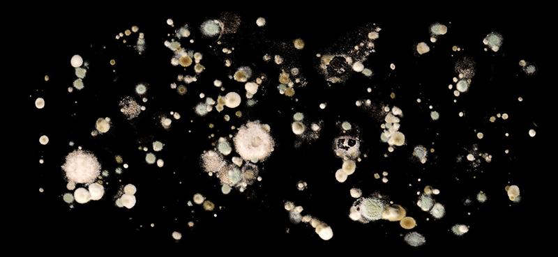 Illustration : PLANET ∞ [video VR, 6', 2017] Réalisation : Momoko Seto - Production: Barberousse Films & ARTE & AWKEYE 