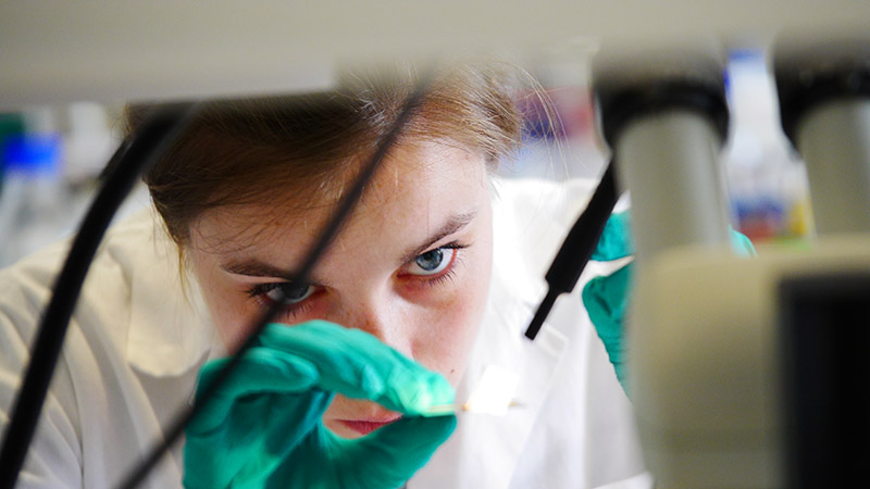 Illustration Femmes et sciences