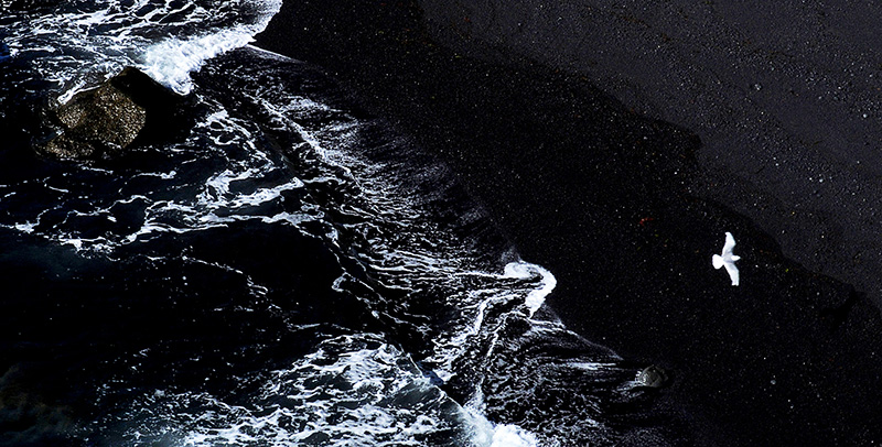 Strapontin avril 2025