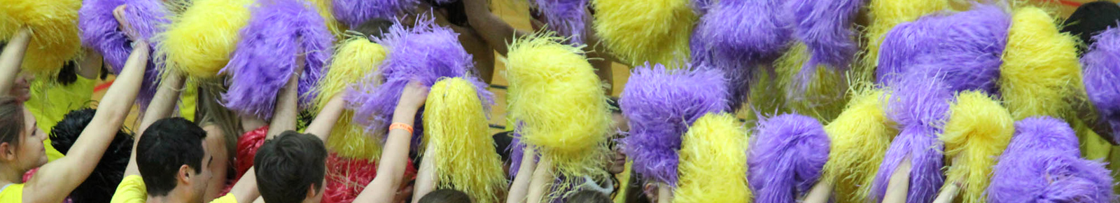 le bureau des sports