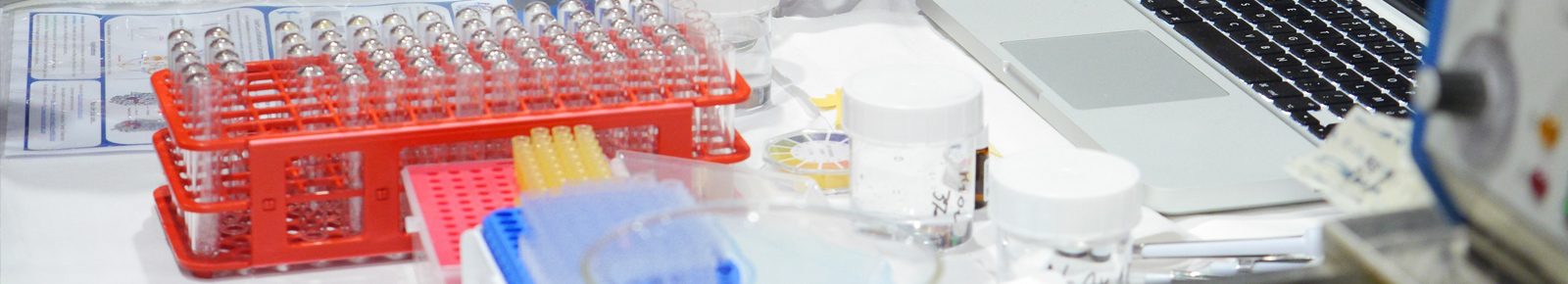 échanges internationaux