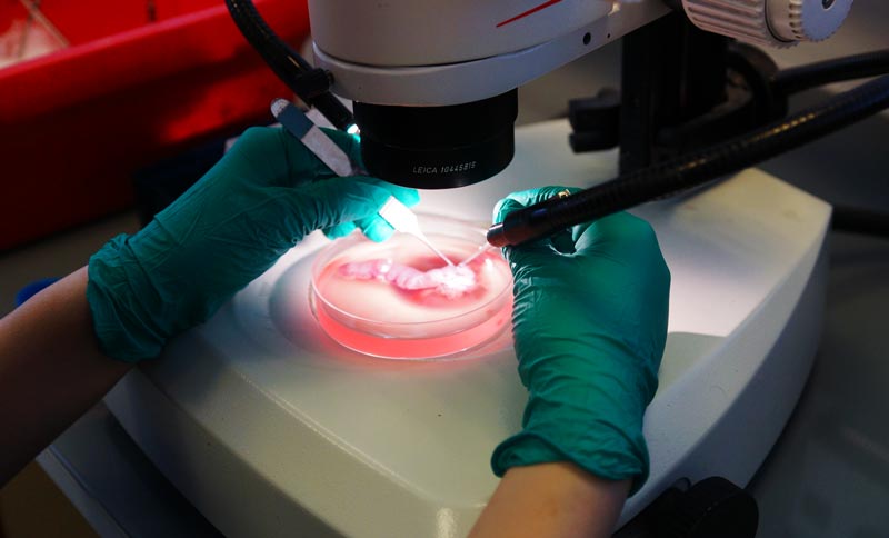 Chaire de recherche ens 