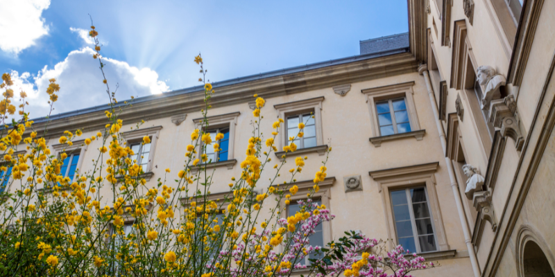 cour aux ernest ensoleillée