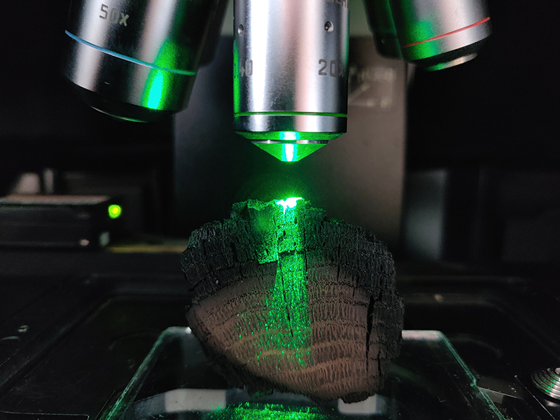 Charbon de bois de Notre-Dame de Paris analysé par spectrométrie Raman