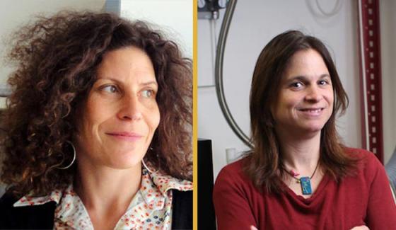 actu_2_mangeney_zalc