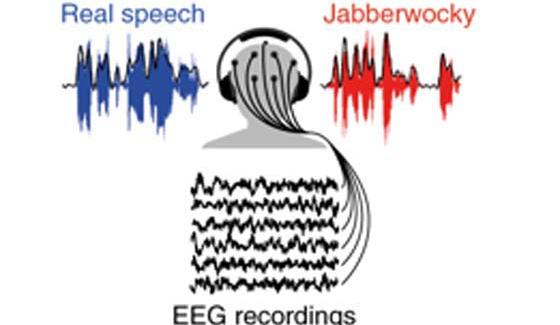  	actu_cerveau_sommeil