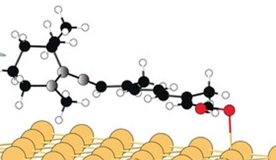 molecules-non-magnetiques-organiques