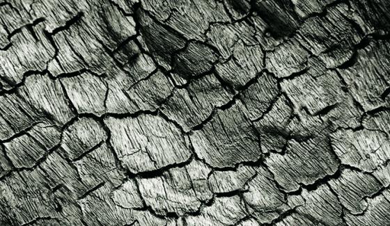 dérèglement climatique