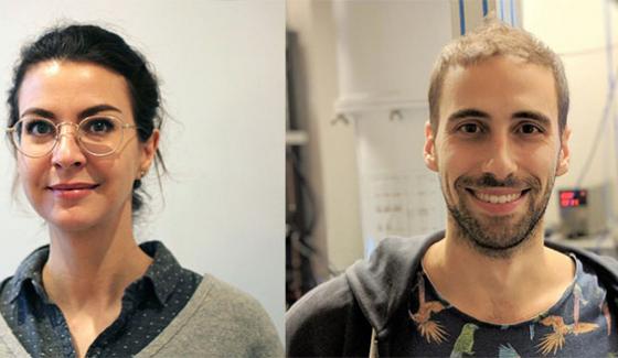 ERC "Starting Grants 2019" 