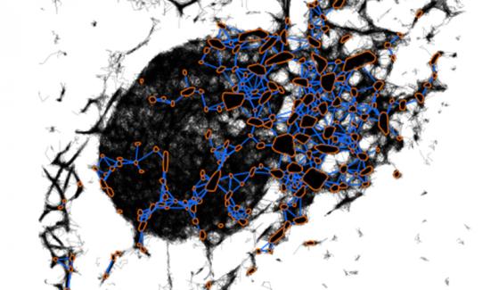 Reconstruction du reseau de l endoplamic reticulum