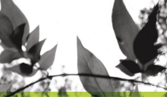 Comment lutter contre la fraude fiscale ?