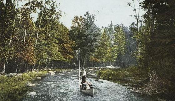 Les Forêts du Maine