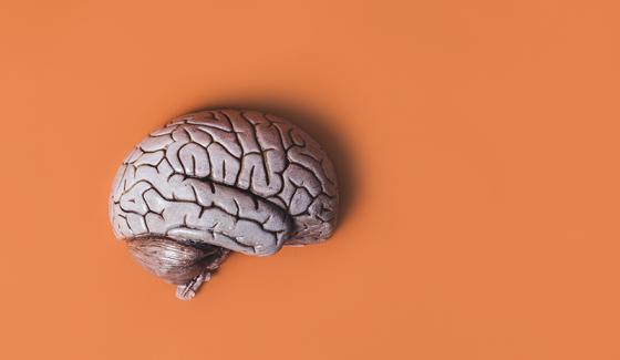 Dois-je persévérer ou explorer ?  Éclairage sur un mécanisme de résolution fondamental du cerveau