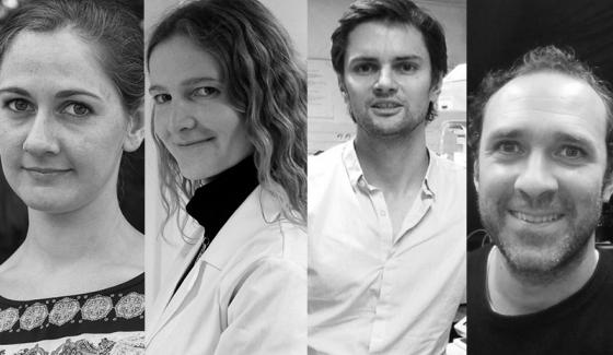 Étiqueter les protéines exportées par les bactéries invasives pour les suivre à la trace