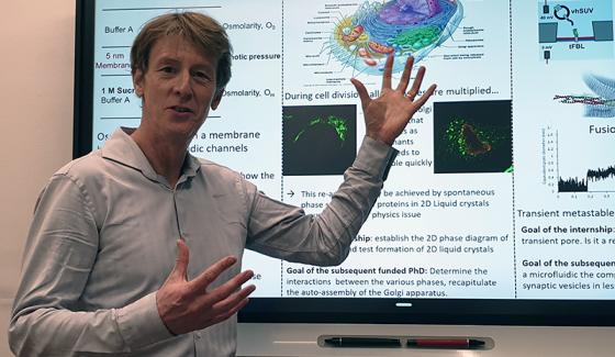 LiquOrg : déchiffrer la formation et l’auto-organisation de la voie de sécrétion des protéines