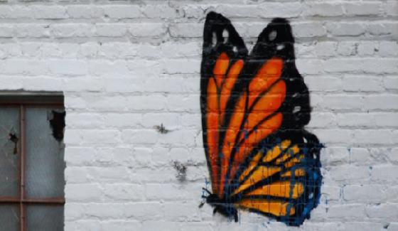 Chaire anthropologie européenne