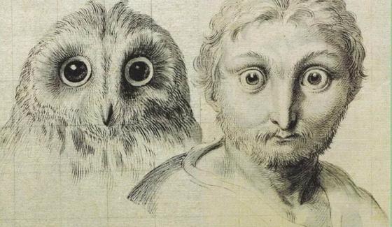 Trois têtes d'hommes en relation avec le chat-huant  Le Brun Charles (1619-1690) Photo (C) RMN-Grand Palais (musée du Louvre)