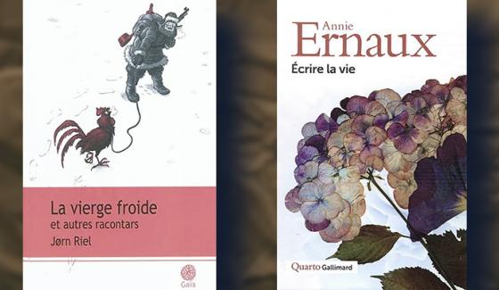 Couv La Vierge noire Ecrire la vie