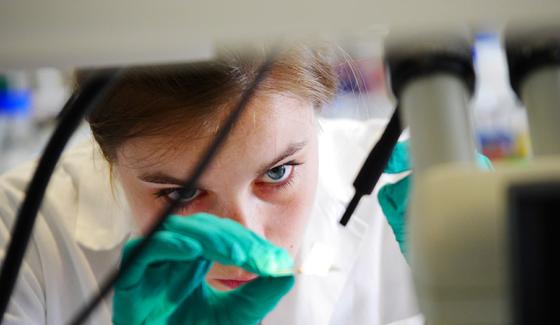 Illustration bourses Femmes et Sciences