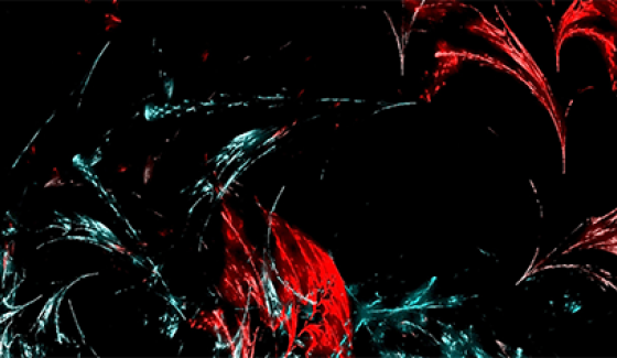 Strapontin n°7 - 2025