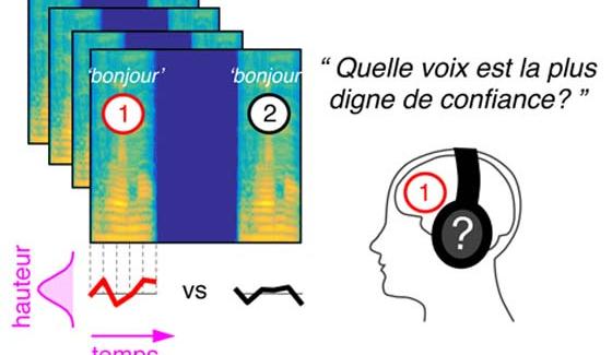 Actu_publication_bonjour