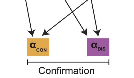 Publication_biais-de-confimation