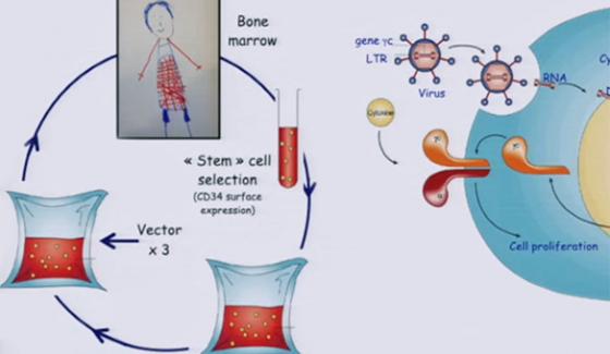 actu_immunology_fisher