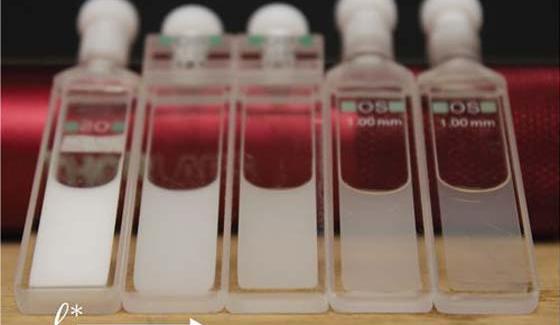 Actu_publication_propriete_nvariance_ondes-en-milieux-complexes