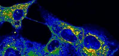 ens laboratoire biomolécules