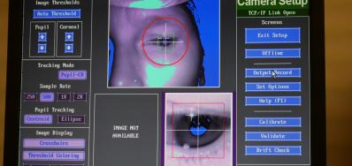neurosciences cognitives