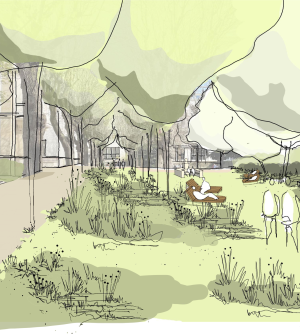 Cour pasteur - transition écologique 